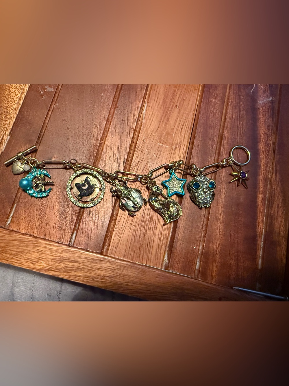 Betsey Johnson Scarab/Cat/Moon celestial bracelet
